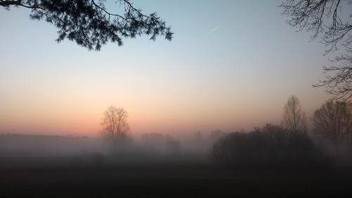 Lübben_010