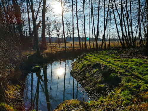 Lübben_013