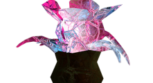 flower6_01