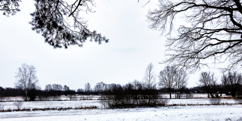 panorama_002