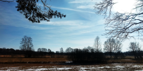 panorama_003