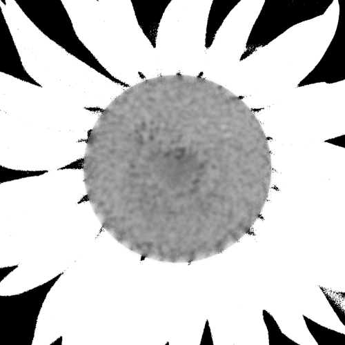 pflanzen_010