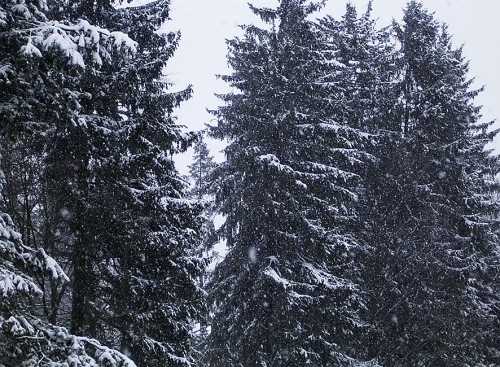 winter_002