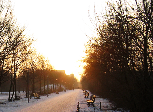 winter_004