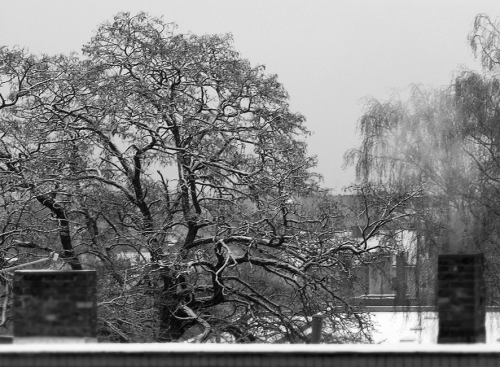winter_005