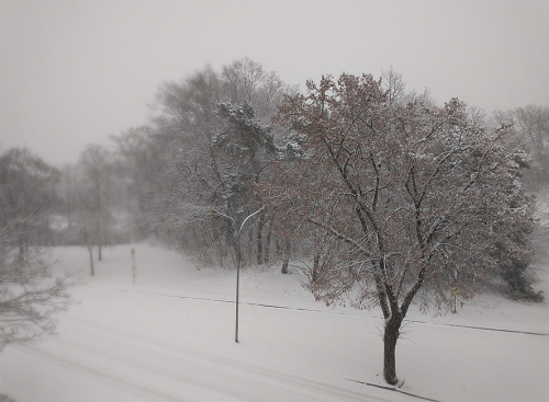 winter_006