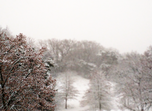 winter_007