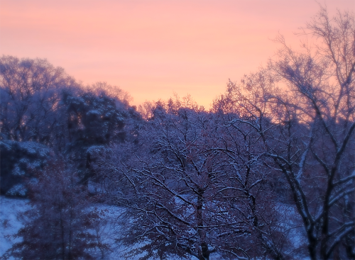 winter_008